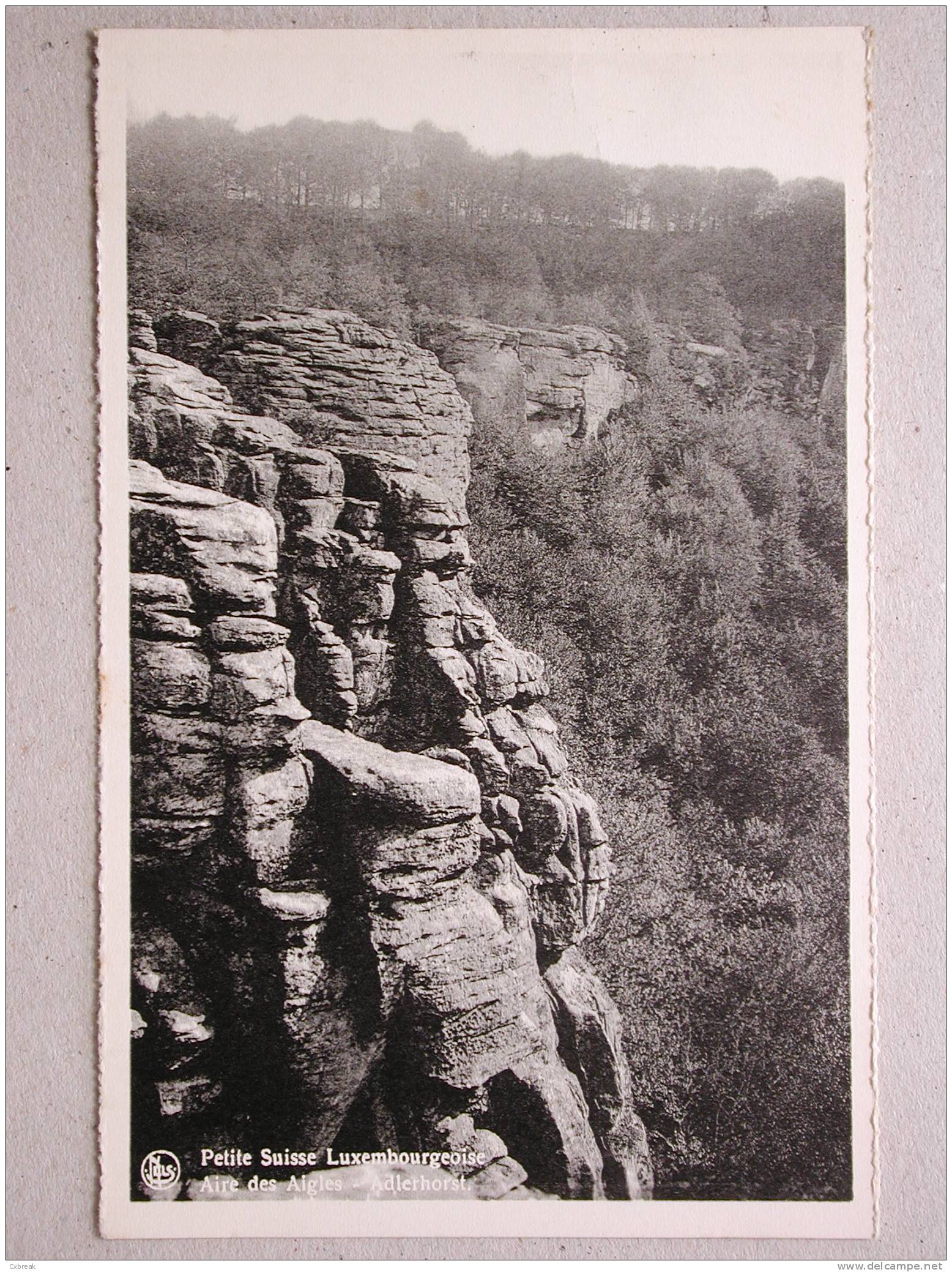 Petite Suisse Luxembourgeoise, Aire Des Aigles - Adlerhorst - Berdorf