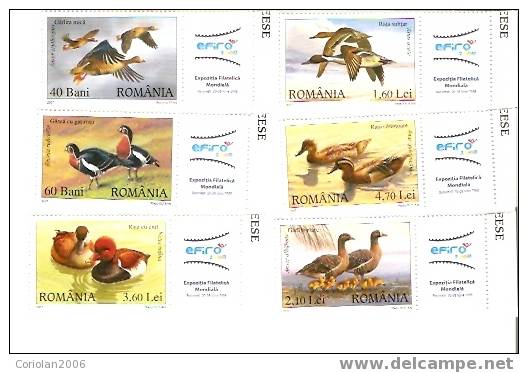 WILD DUCKS AND GEESE - ROMANIA - 2007 -   6 VAL - WITH LABEL EFIRO 2008 - Anatre