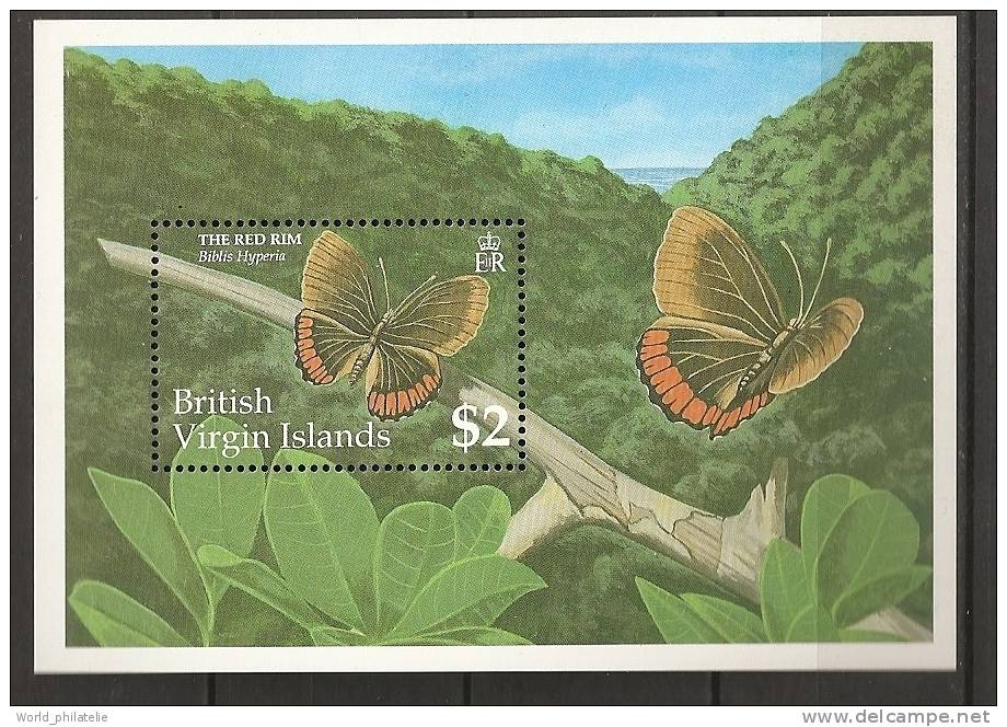 Iles Vierges Virgin Island 1991 N° BF 73 ** Faune, Papillons, Biblis Hyperia, Forêt - Iles Vièrges Britanniques