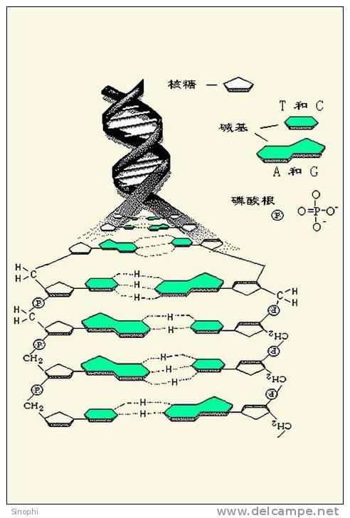 ( AN03-058  ) @      DNA Chemistry Biochemistry Gene  .   Pre-stamped Card  Postal Stationery- Articles Postaux - Chemistry