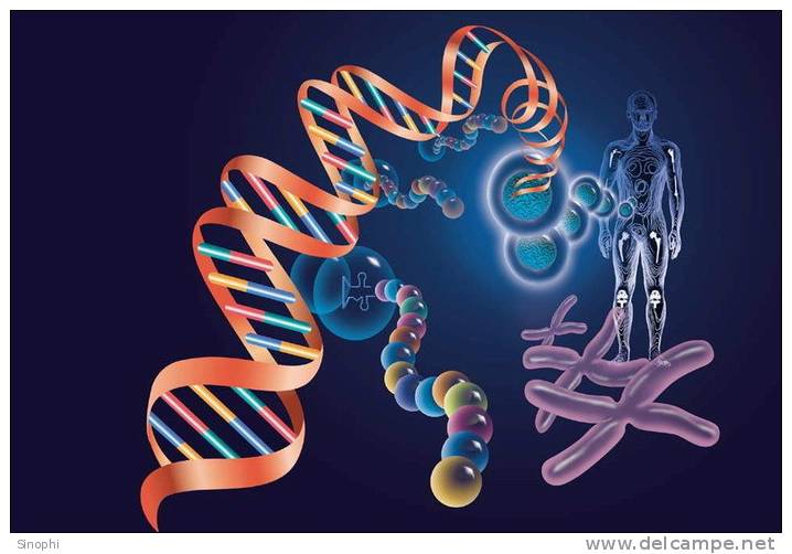 ( AN03-044  ) @      DNA Chemistry Biochemistry Gene  .   Pre-stamped Card  Postal Stationery- Articles Postaux - Chimie