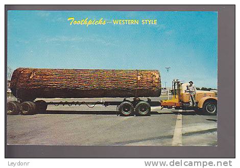 Toothpicks, Western Style - American Roadside