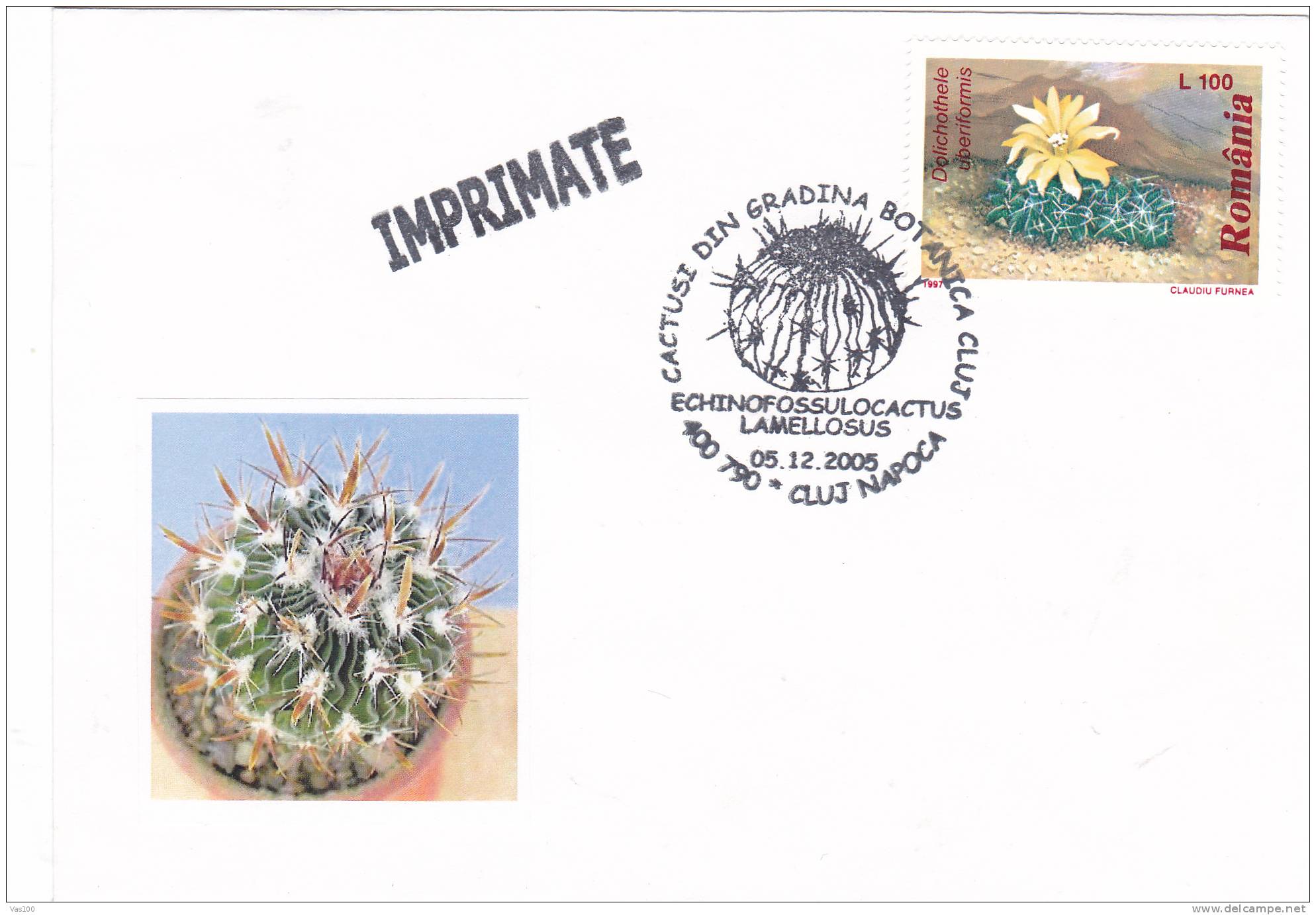 Cactusses,cactus Oblitération + COVERS Commemorative 2005,Special Cancel From Romania. - Cactus