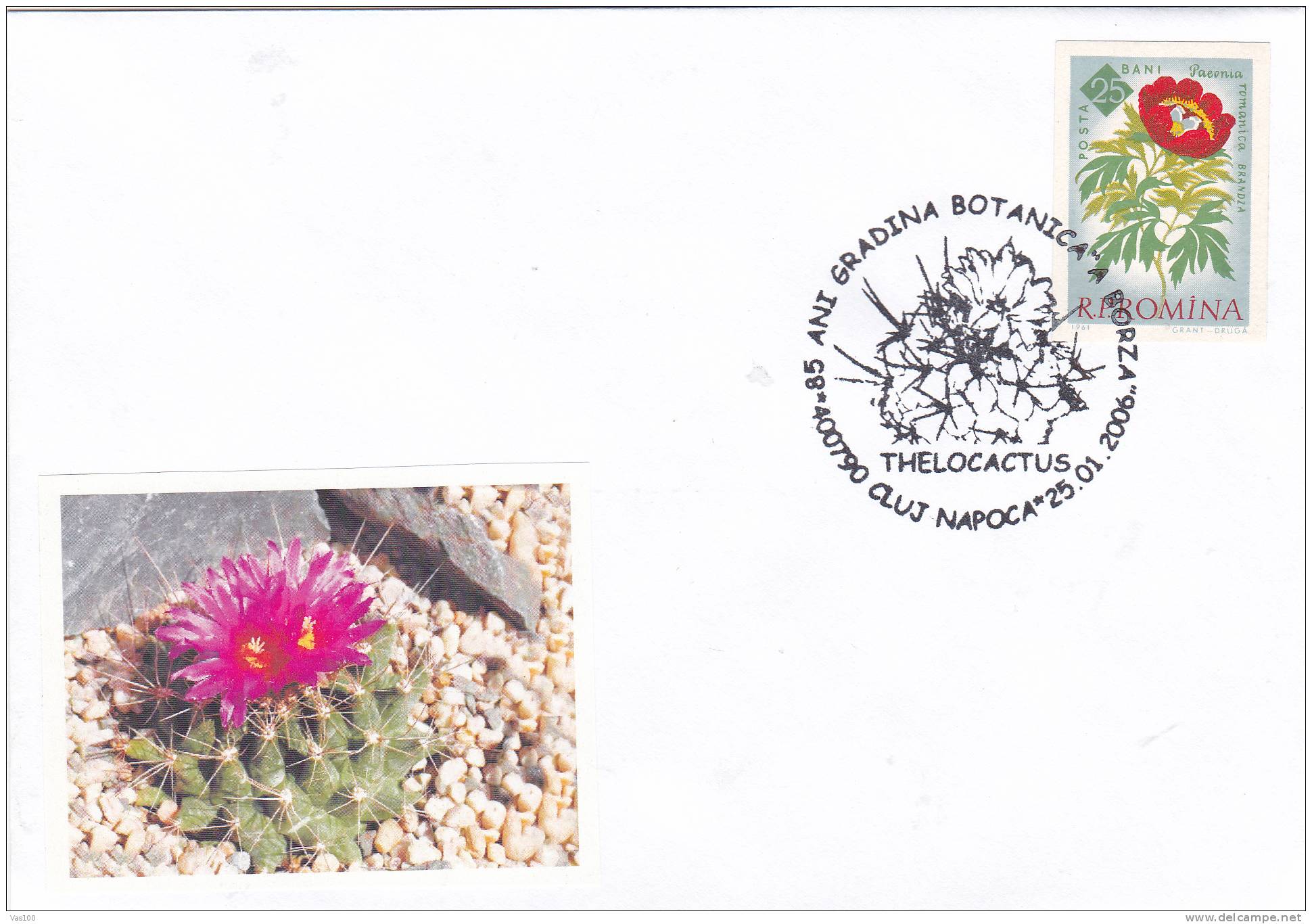 Cactusses,cactus Oblitération + COVERS Commemorative 2006,Special Cancel From Romania. - Cactus