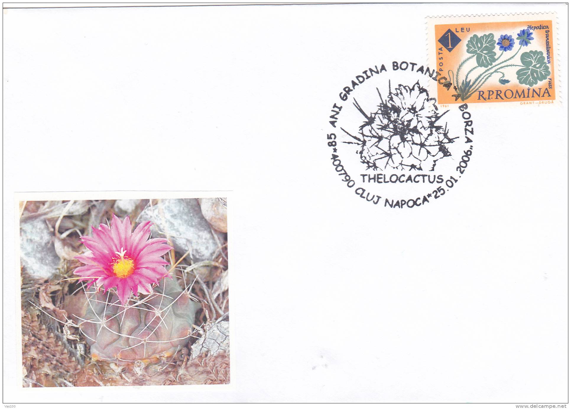 Cactusses,cactus Oblitération + COVERS Commemorative 2006,Special Cancel From Romania. - Cactusses