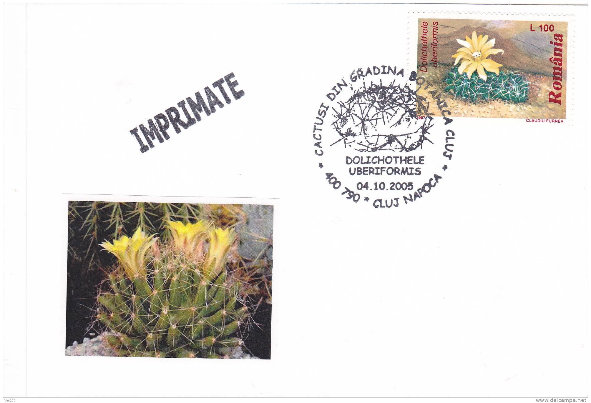 Cactusses,cactus Oblitération + COVERS Commemorative 2005,Special Cancel From Romania. - Sukkulenten