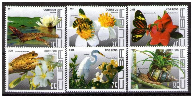 Flowers And Fauna. MNH. Cuba 2011 - Coneshells