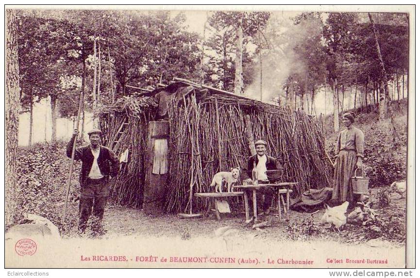 Aube..10..les Ricardes ..Forêt De Beaumont--Cunfin....Hutte De Charbonnier - Sonstige & Ohne Zuordnung