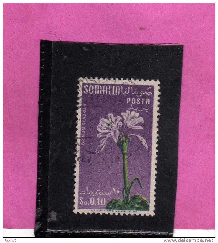 SOMALIA AFIS 1955 FIORI FLOWERS FLEURS FLORA GRINUM SCABRUM CENT. 10c 0,10S USATO USED OBLITERE' - Somalia (AFIS)