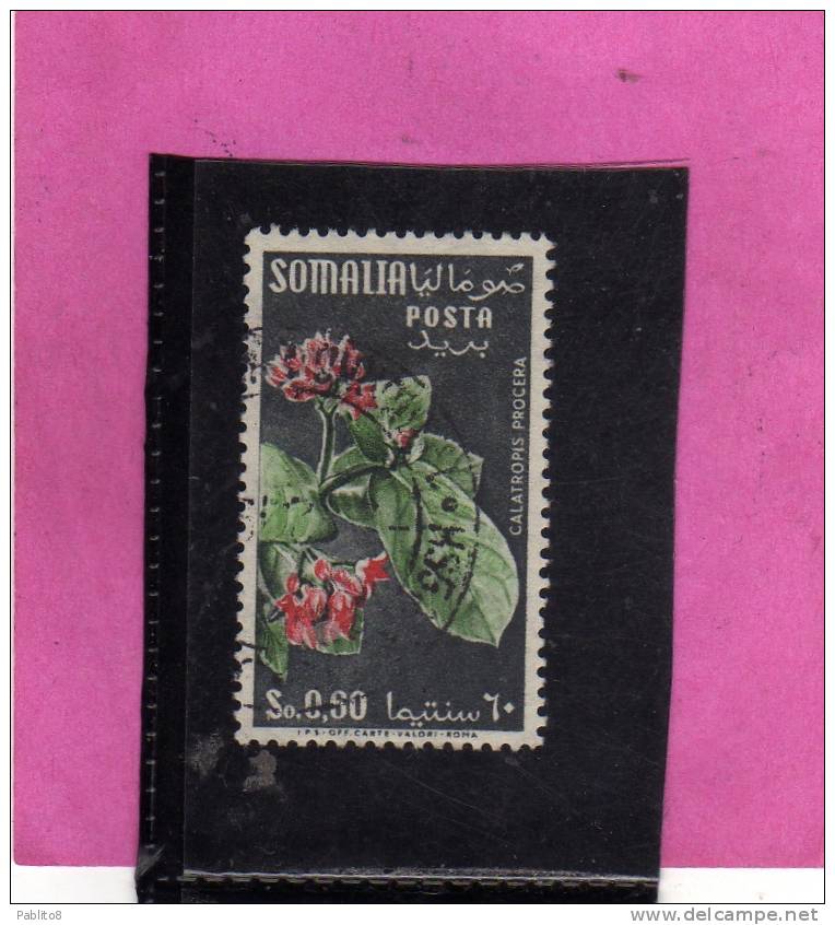 SOMALIA AFIS 1955 FIORI FLOWERS FLEURS FLORA CALATRAPIS PROCERA CENT. 60c 0,60S USATO USED OBLITERE' - Somalia (AFIS)