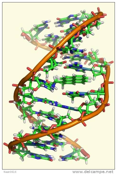 [NZ08-080  ]    Chemistry Gene DNA Biochemistry, Postal Stationery --Articles Postaux -- Postsache F - Chemistry