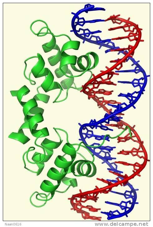 [NZ08-082  ]    Chemistry Gene DNA Biochemistry, Postal Stationery --Articles Postaux -- Postsache F - Química