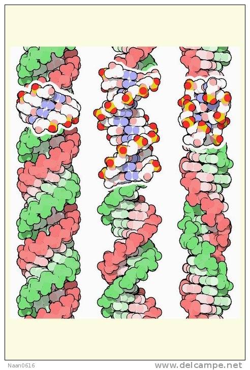 [NZ08-083  ]    Chemistry Gene DNA Biochemistry, Postal Stationery --Articles Postaux -- Postsache F - Chemistry