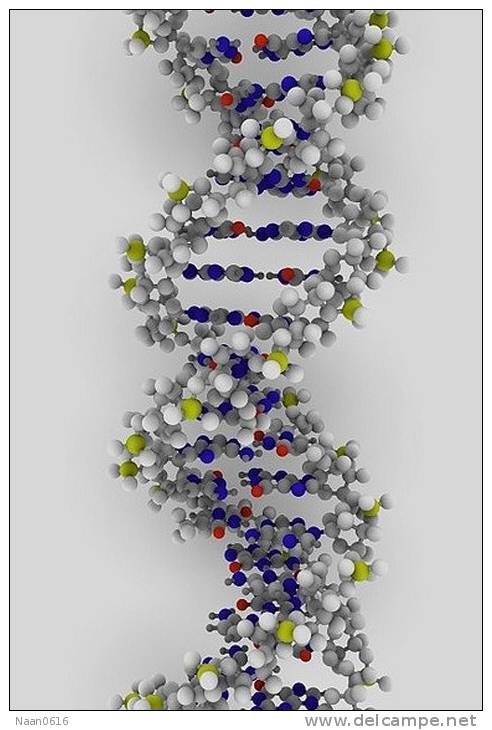 [NZ08-084  ]    Chemistry Gene DNA Biochemistry, Postal Stationery --Articles Postaux -- Postsache F - Chemistry