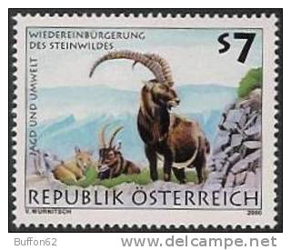 Autriche / Austria (2000) - Bouquetins Avec Jeune / Ibex With Young. Chasse Et Environnement / Hunting And Environment. - Game