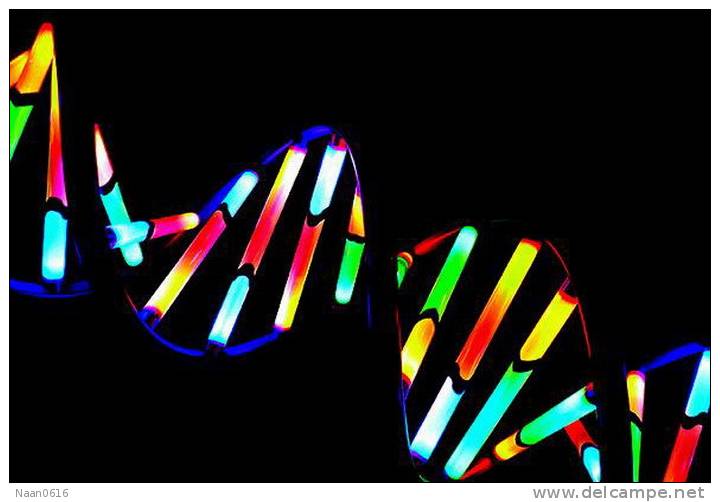 [NZ08-088  ]    Chemistry Gene DNA Biochemistry, Postal Stationery --Articles Postaux -- Postsache F - Chemistry