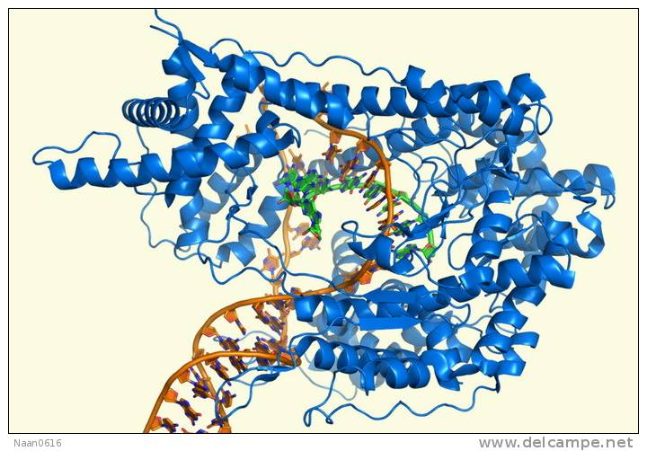 [NZ08-095  ]    Chemistry Gene DNA Biochemistry, Postal Stationery --Articles Postaux -- Postsache F - Química