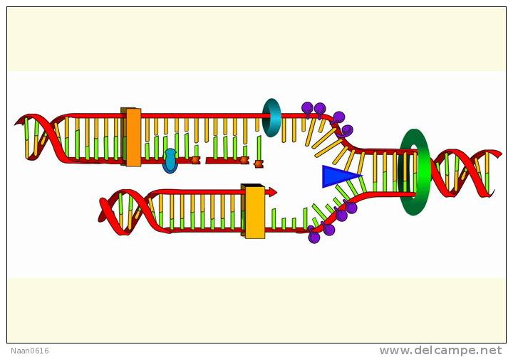 [NZ08-096  ]    Chemistry Gene DNA Biochemistry, Postal Stationery --Articles Postaux -- Postsache F - Chemistry