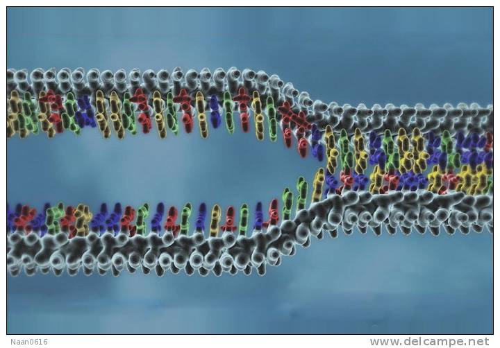 [NZ08-109  ]    Chemistry Gene DNA Biochemistry, Postal Stationery --Articles Postaux -- Postsache F - Química