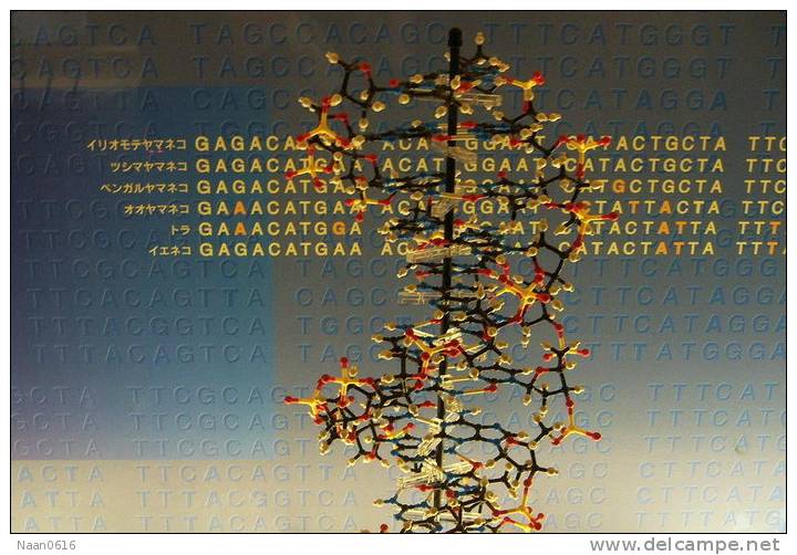 [NZ08-110  ]    Chemistry Gene DNA Biochemistry, Postal Stationery --Articles Postaux -- Postsache F - Química