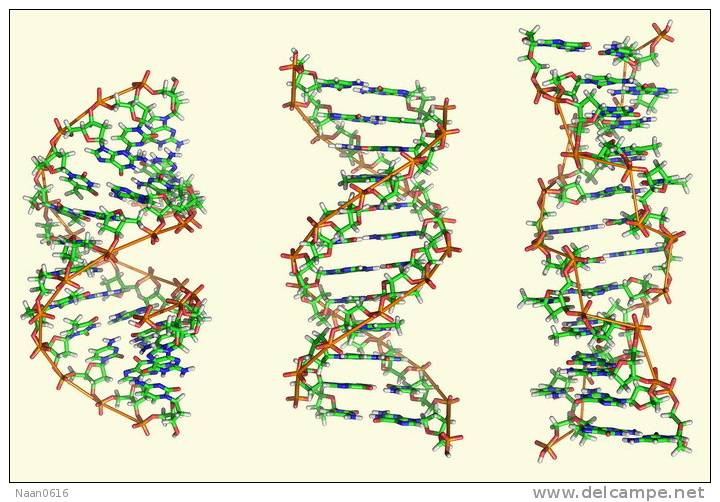 [NZ08-111  ]    Chemistry Gene DNA Biochemistry, Postal Stationery --Articles Postaux -- Postsache F - Chemistry