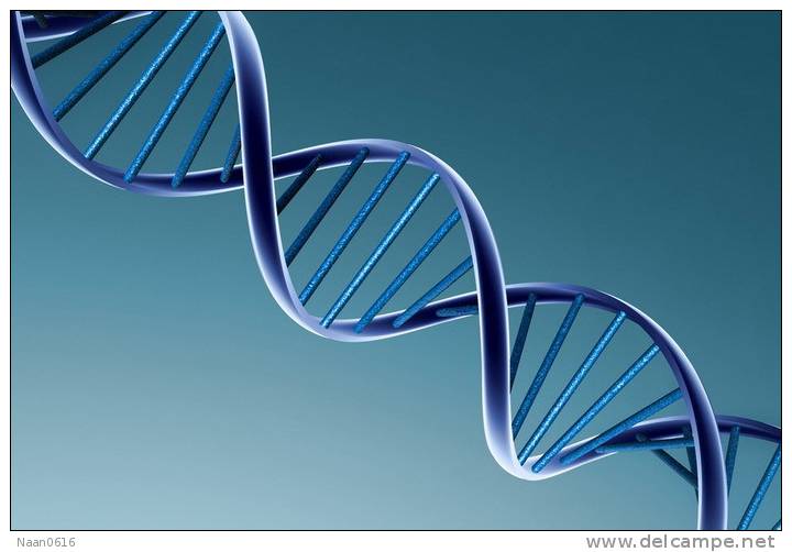 [NZ08-114  ]    Chemistry Gene DNA Biochemistry, Postal Stationery --Articles Postaux -- Postsache F - Chimie