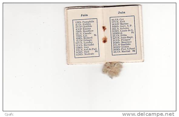 Calendrier 1910 JEANNE D'ARC / Comme Un Agenda 15 Petites Pages - Tamaño Pequeño : 1901-20