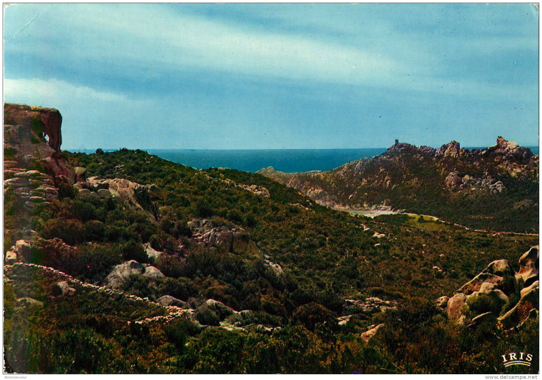 CORSE   SARTENE  VUE GENERALE   ENTRE SARTENE ET BONIFACIO  L'ELEPHANT ET LE LION DE ROCCAPINA   SARTENE .... - Corse