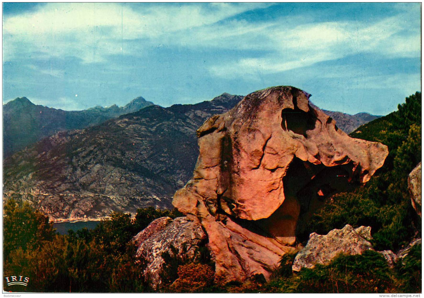 CORSE PIANA  LES CALANCHES ET LE CAPO ROSSO - Corse