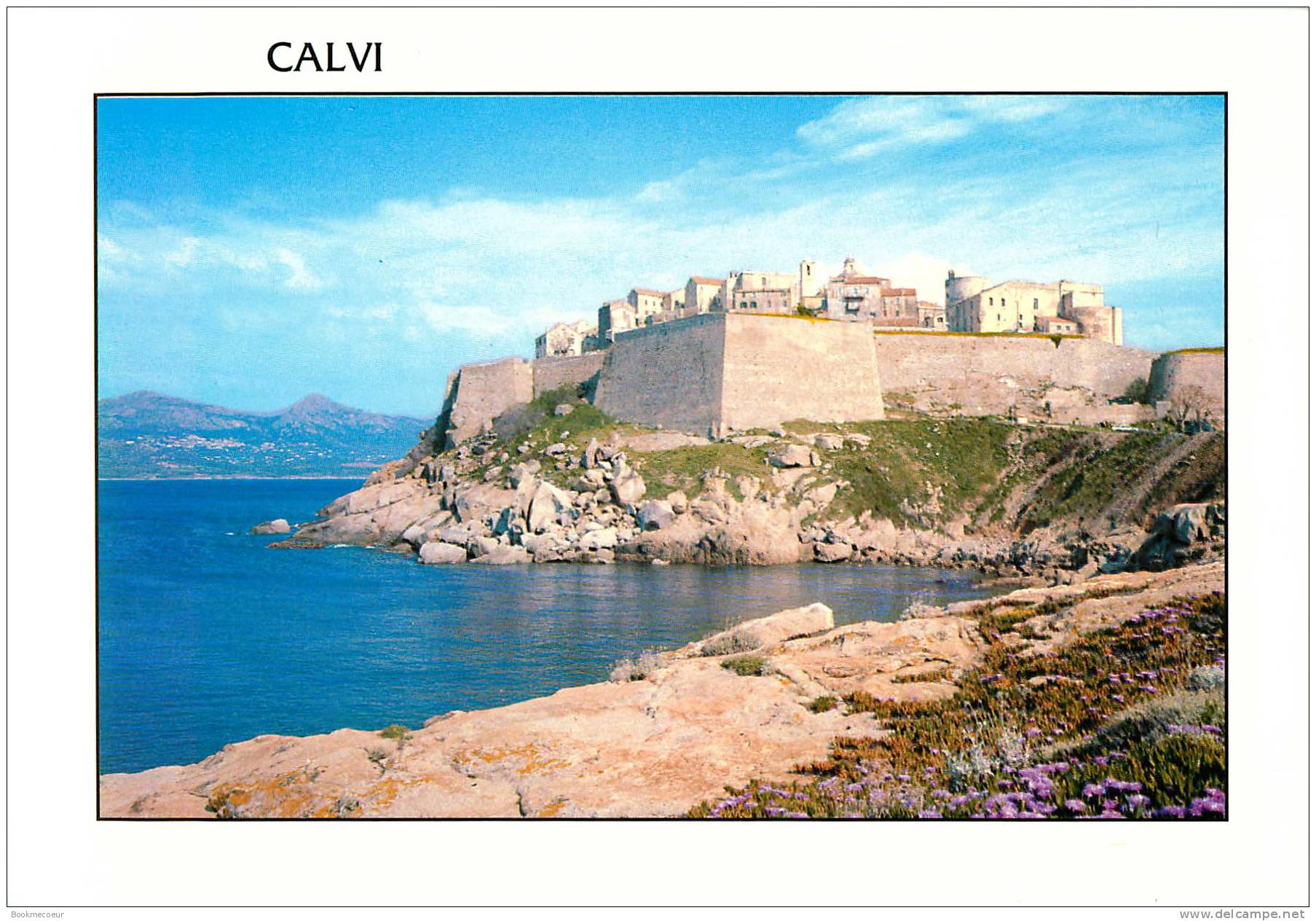 CORSE   CALVI   LA CITADELLE   VUE PRISE DE LA PLAGE  9 - Corse