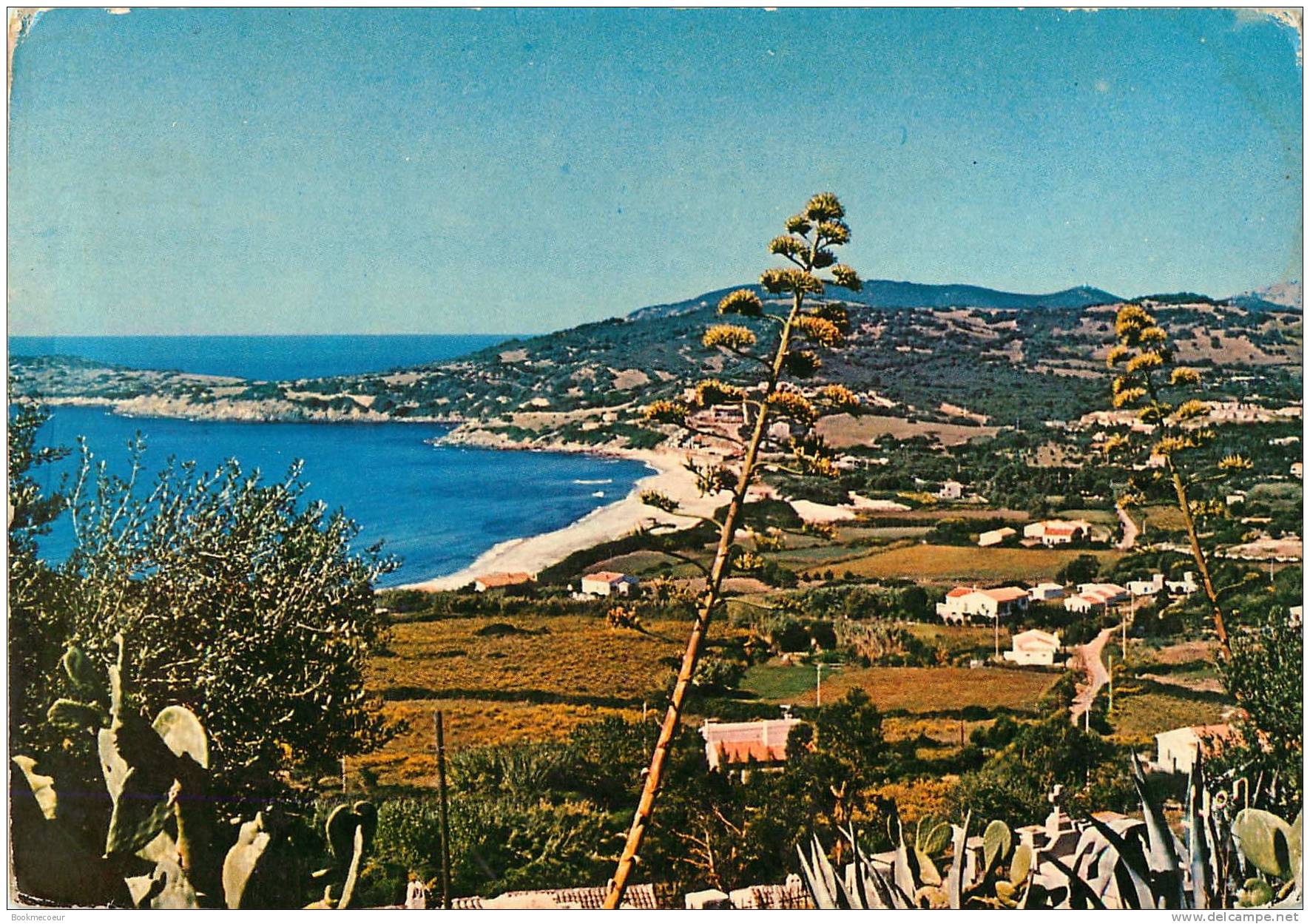 CORSE   CARGESE L'EGLISE LATINE ET LA GRECQUE  LA PLAGE DU PERO AU PIED DE LA CITE  BASTIA LA PLACE ST NICOLAS - Corse