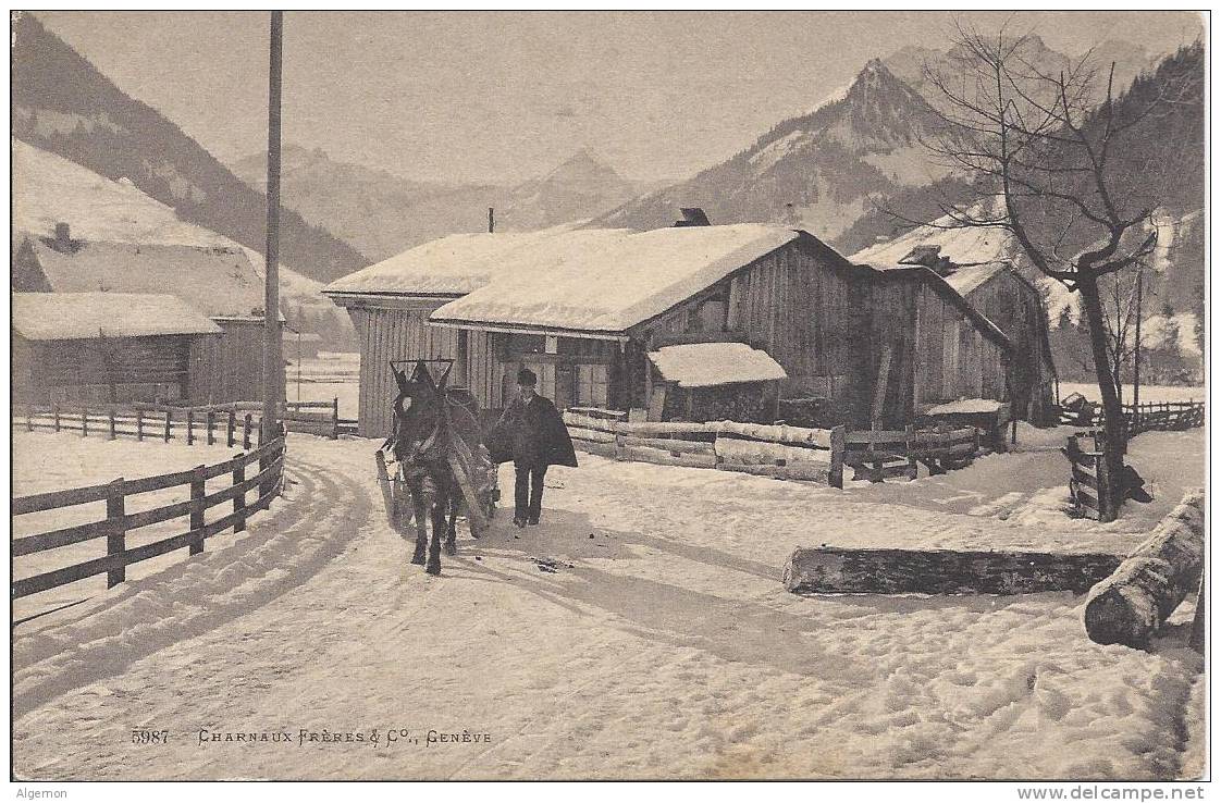 0462 - Scène Champêtre En Hiver Magnifique Cheval Avec Luge Chanaux 5987 - Cham