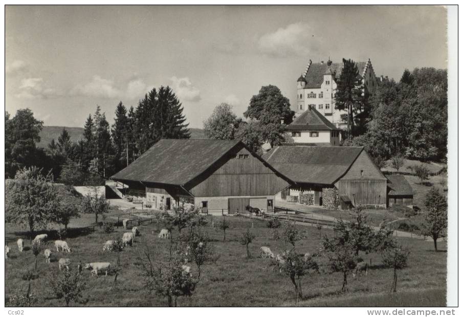 Schloss Sonnenberg Stettfurt - Stettfurt