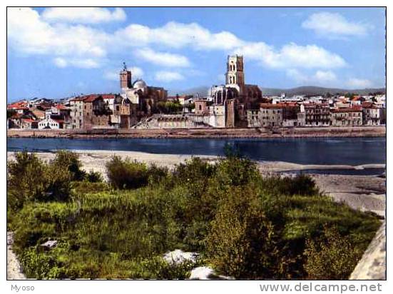 30  PONT ST ESPRIT Vue Generale De La Ville Sur La Rive Droite Du Rhone - Pont-Saint-Esprit