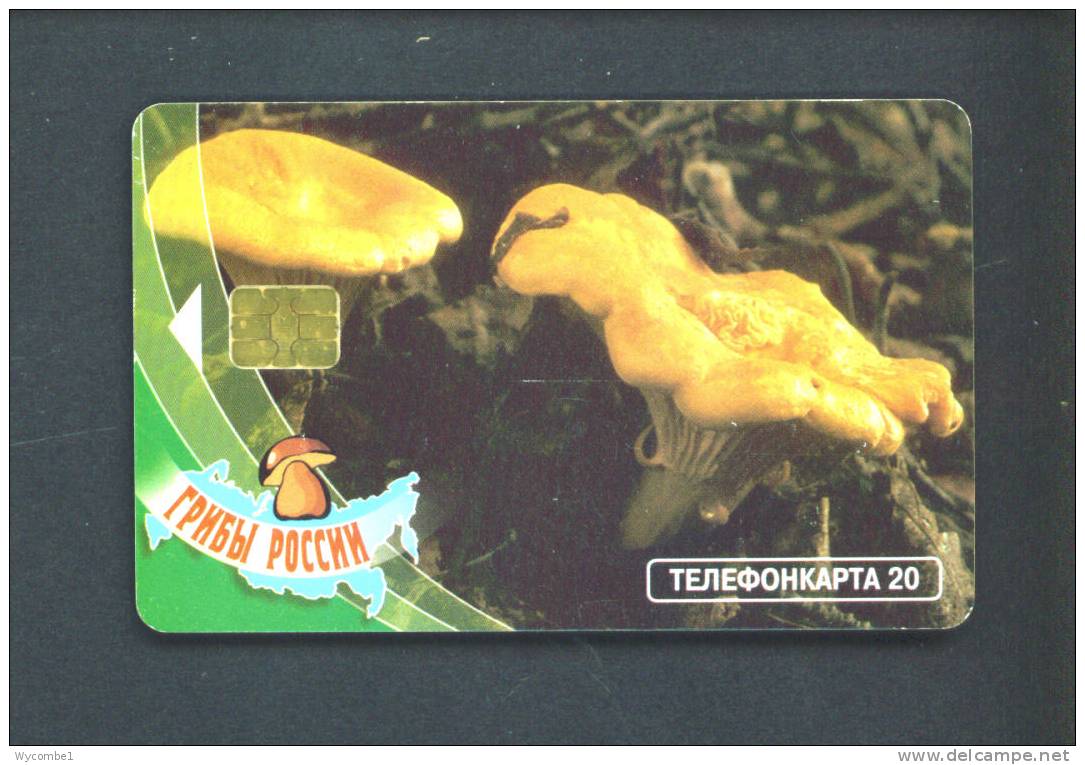 RUSSIA  -  Chip Phonecard As Scan - Russia