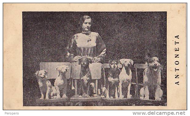 AK ZIRKUS CIRCUS HUNDE ANTONETA Mit Sechs Hunden OLD POSTCARD - Zirkus