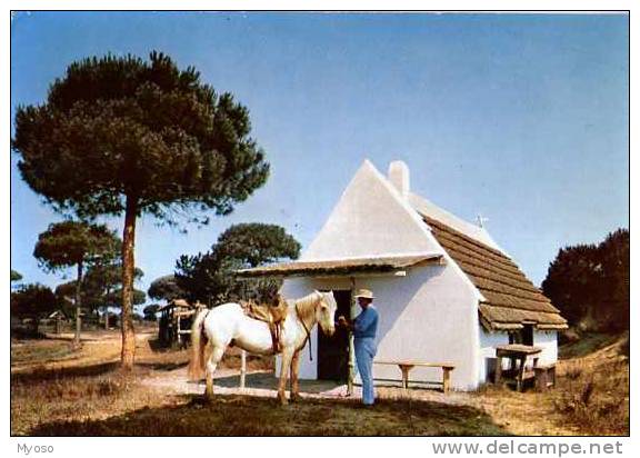 CAMARGE Cabane De Boucanet, Cheval - Other