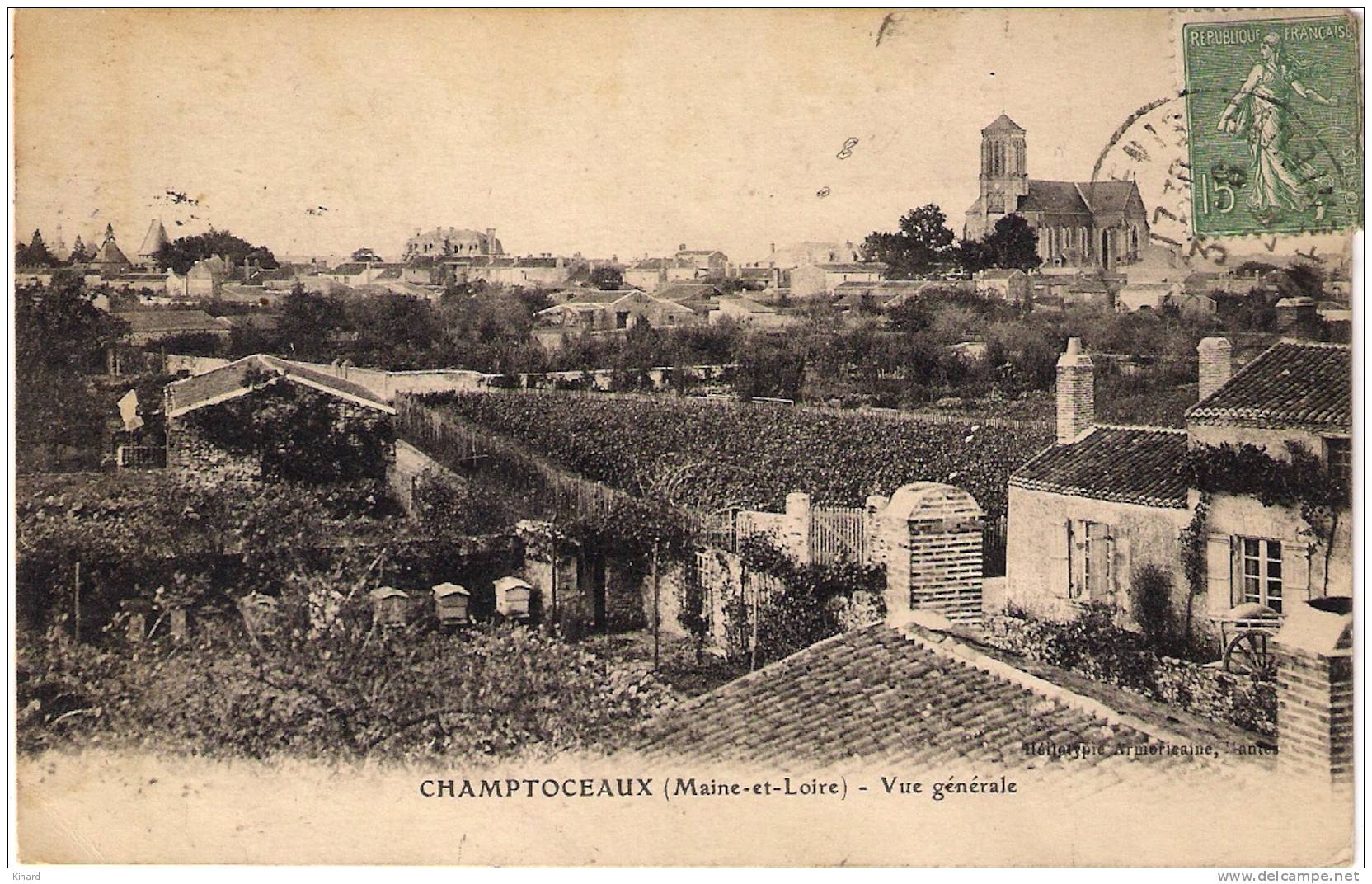 CPA .   CHAMPTOCEAUX.   VUE GENERALE. Circulé 1924. Les Ruches   ...... - Champtoceaux