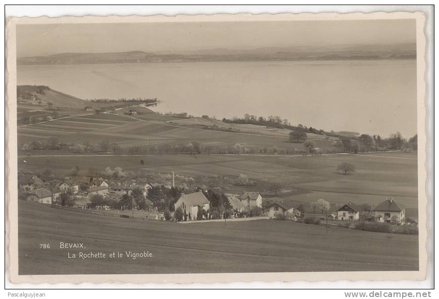 CARTE PHOTO BEVAIX - LA ROCHETTE ET LE VIGNOBLE - Bevaix