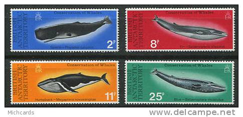 ANTARCTIQUE BRITANNIQUE (BAT) 1977 - Cetace, Baleine, .... (Polaire) Neuf ** (MNH) Sans Charniere (Yvert 64/67) - Neufs