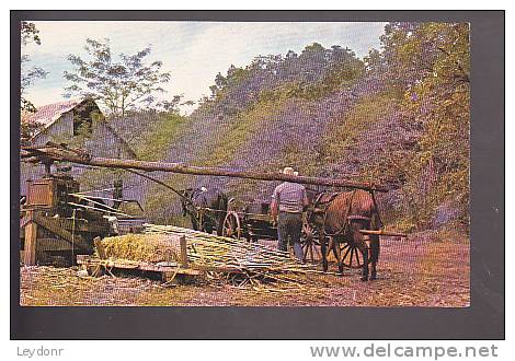 Sorghum Mill - Down In The Ozarks - Autres & Non Classés