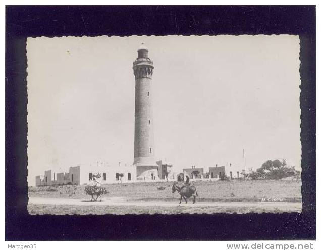 Mazagan Le Phare édit.la Cogogne N° 1056 2 ânes Au Pied Du Phare - Otros & Sin Clasificación