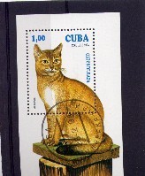 Cuba 1994 Yvertn° Bloc 138 (°) Oblitéré Used Cote 5 Euro Faune Chats Cats - Hojas Y Bloques