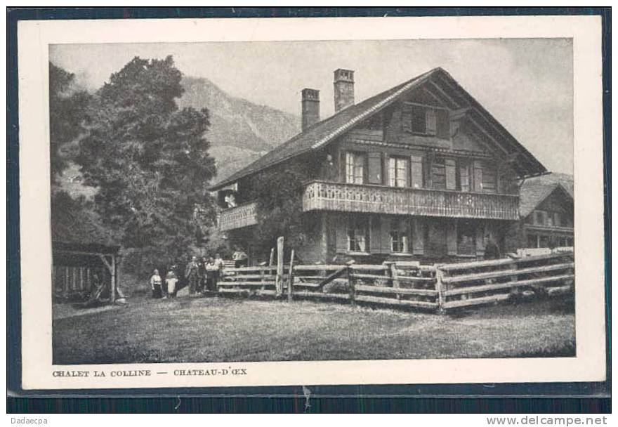 Château D' Oex, Chalet La Colline, Animée, - Autres & Non Classés