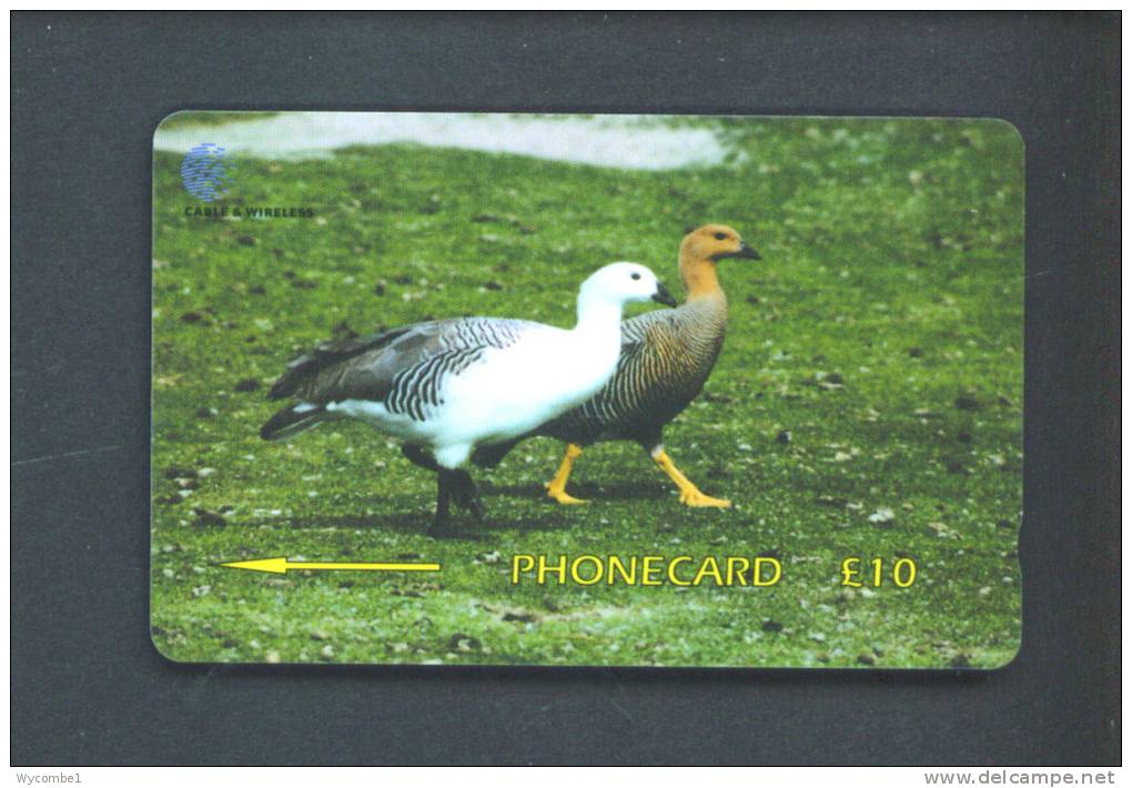 FALKLAND ISLANDS  -  Magnetic Phonecard As Scan - Falkland Islands