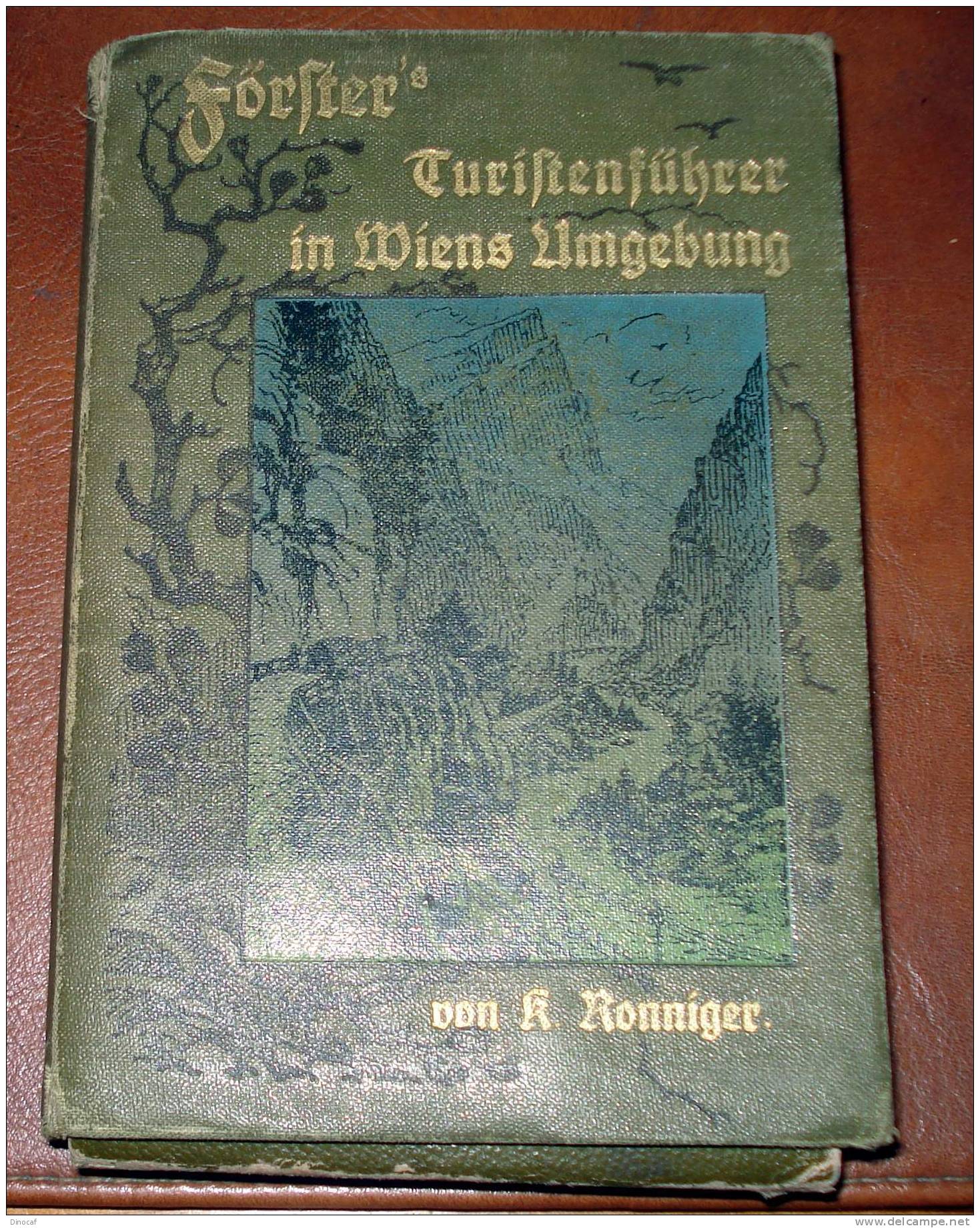 FÖRSTER'S TOURISTENFÜHRER IN WIEN UND UMGEBUNG, 1917,  SEITENANZAHL: CA. 1000 SEITEN - Altri & Non Classificati