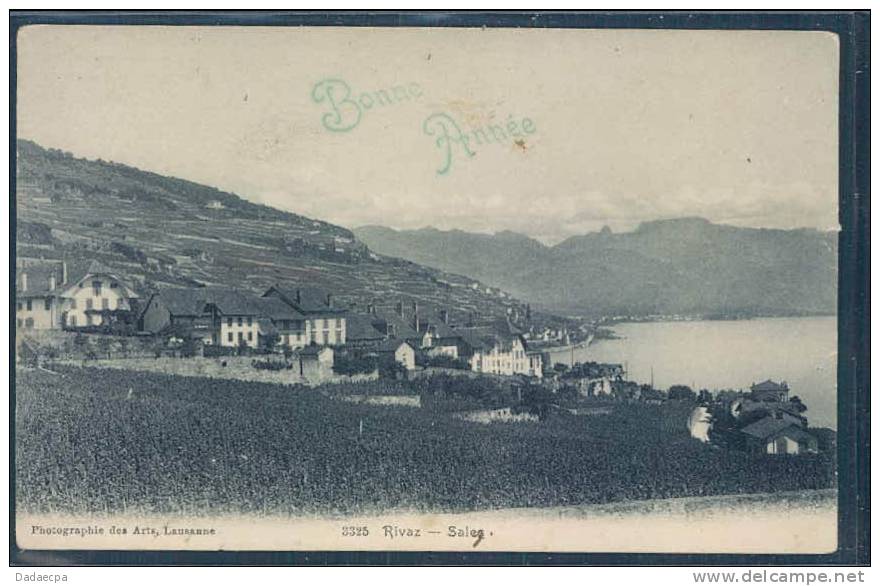 Lavaux, Lac Léman, Rivaz, - Rivaz