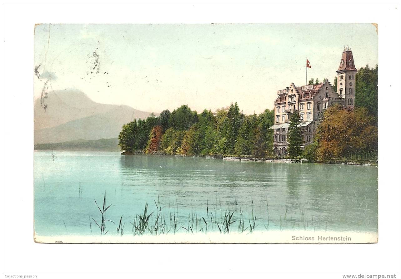 Cp, Suisse, Schloss Hertenstein, Voyagée 1910 - Stein
