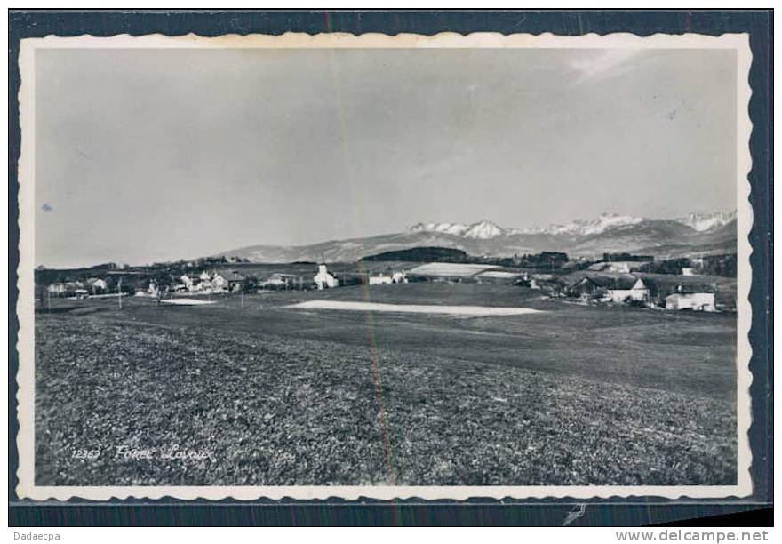 Banlieue Lausanne, Forel - Lavaux, (Le Trait En Travers De La Carte Est Un Problème De Scanner) - Forel