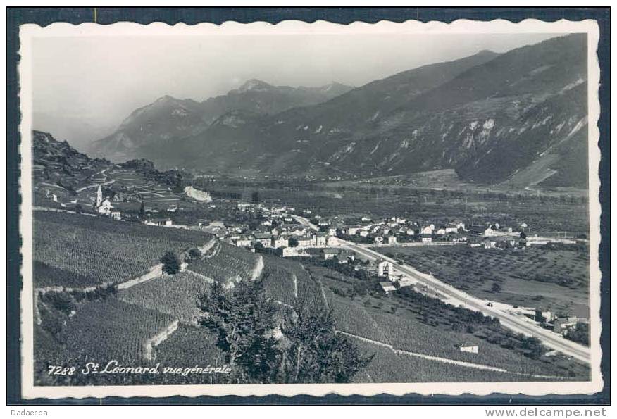 Valais Central, St. Léonard, Vignes, Vignoble, Vue Générale, - Saint-Léonard